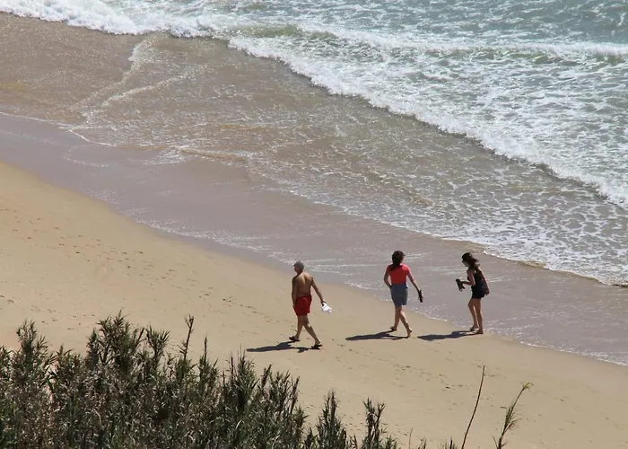 Centro De Conil شقة